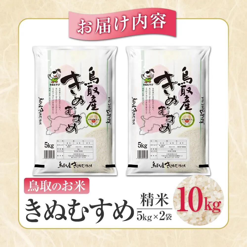 鳥取のお米 きぬむすめ 5kg×2 精米 きぬむすめ