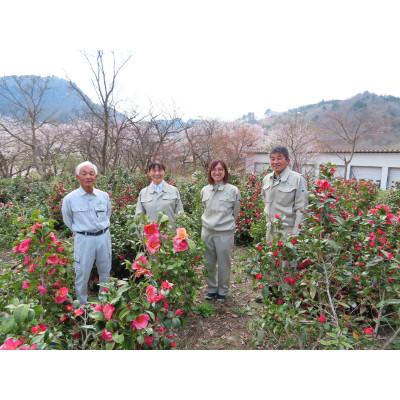 ふるさと納税 阿賀町 アガノユキツバキハンドクリーム　3本セット |  | 03