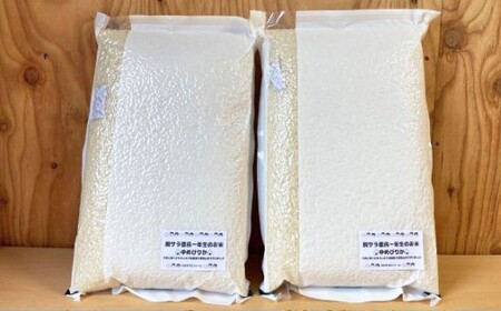 【令和7年産】 ゆめぴりか （玄米） 真空パック 5kg×2袋 10kg 北海道 鷹栖町 たかすタロファーム 米 コメ こめ ご飯 玄米 お米 ゆめぴりか コメ 玄米
