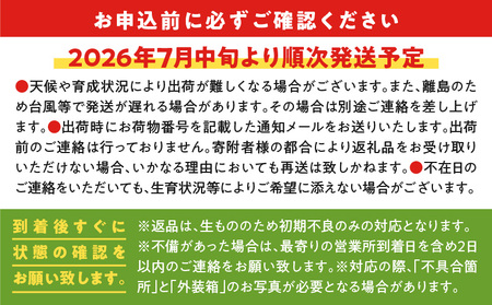 【 2026年 先行予約 】 えみちゃん農園 の プレミアム 完熟 マンゴー 1キロ （ 大玉 2個入り ） C008-005 果物 フルーツ