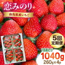 【ふるさと納税】【2025年1月〜発送】【5回定期便】南島原産いちご 「恋みのり」約260g×4P / いちご イチゴ 苺 いちご定期便 フルーツ ふるーつ 果物 くだもの 定期便 フルーツ定期便 / 南島原市 / あゆみfarm[SFF004]