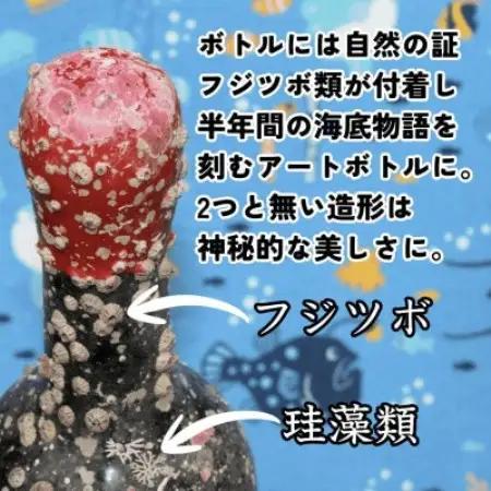 海底熟成したジャパニーズウイスキー【バーボン樽の香ばしさ,クセのない味わい】バーボンバレル #D12【1746827】