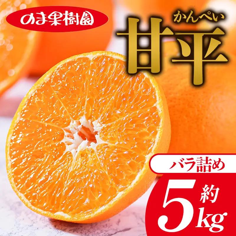 【先行予約】甘平（5kg）