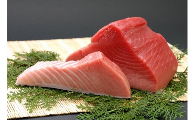 本マグロ トロ＆赤身セット 3kg（養殖）【7月発送】濃厚な赤身と高級部位トロの鮪好きにはたまらないセット 【串本町×北山村】 高級 クロマグロ【nks112-7】