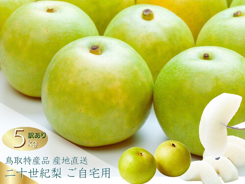
            数量限定 鳥取県産 梨 訳あり ご自宅用 二十世紀梨 5kg
          