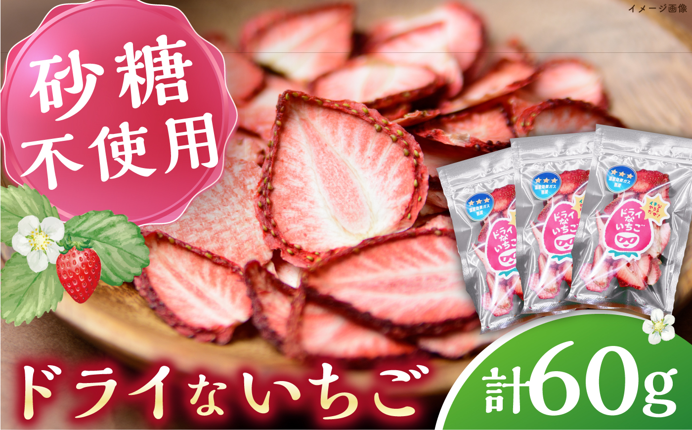 ドライ な いちご 20g×3 《壱岐市》【蒼花】 [JEO006]