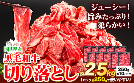 牛肉 黒毛和牛 切り落とし 2.5kg 《30日以内に出荷予定(土日祝除く)》 岡山県 矢掛町 牛 牛肉 和牛 牛丼 カレー 小分け 小分けパック 250g 送料無料