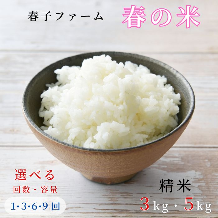 【ふるさと納税】選べる容量・回数　《令和7年産》 春子ファーム 春の米 精米 3kg 5kg ／ 米 お米 こめ コメ ごはん 無農薬 農薬不使用 春の米 精米 白米 令和7年産 新米 3kg 5kg 定期便 千葉県 東庄町 春子ファーム 産地直送 産直 送料無料