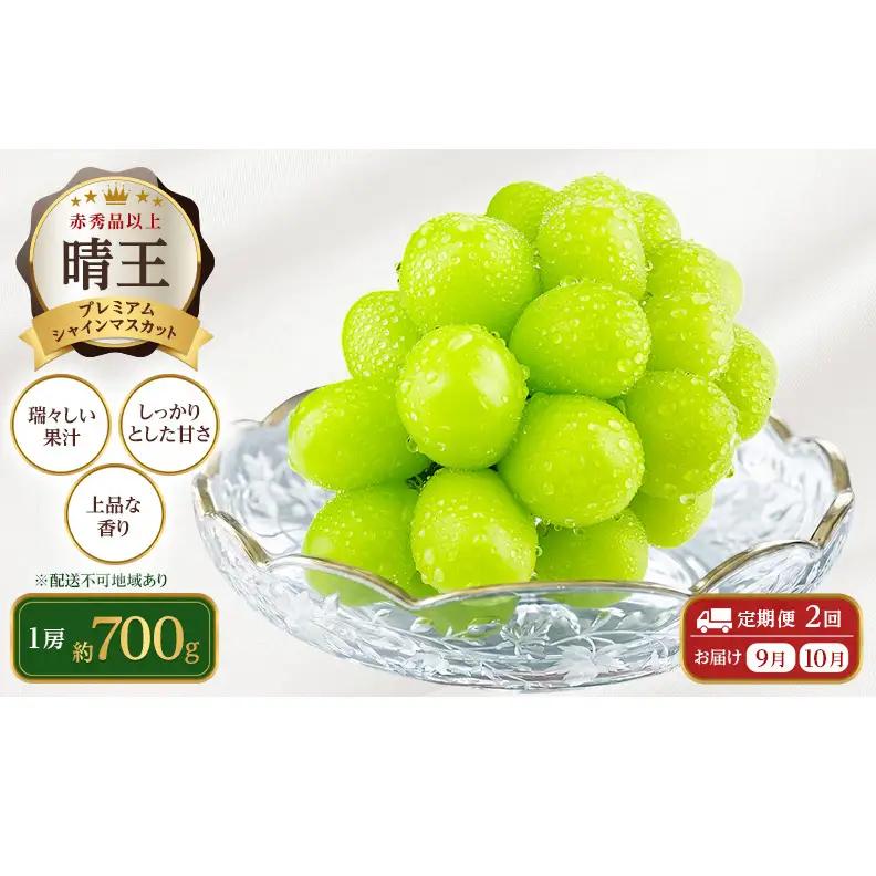 シャインマスカット 晴王 プレミアム 岡山県船穂産 シャインマスカット【1房 約700g】【定期便2回】