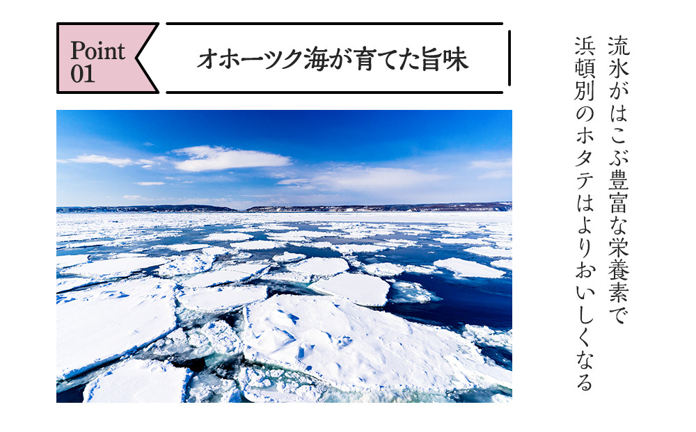 冷凍帆立貝柱200ｇ(15粒前後)×8パック【20002】