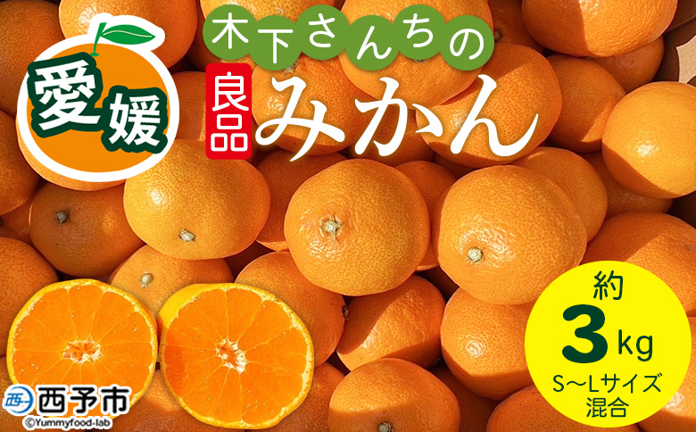 ＜木下さんちのみかん 良品 約3kg（S～Lサイズ混合）＞ 『2026年11月中旬～12月下旬に順次出荷予定』柑橘 温州みかん ミカン 果物 くだもの フルーツ 西宇和 愛媛県 西予市 約3kg（寄附