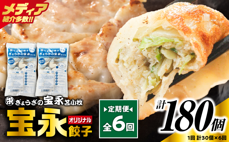 【定期便・全6回 毎月】手包み餃子 ぎょうざの宝永 宝永餃子30個セット（宝永餃子15個入×2袋）　T004-T01-02-04