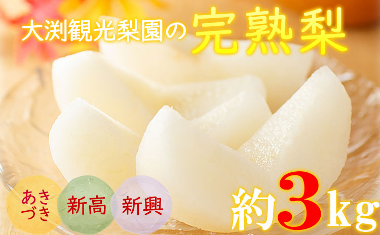 大渕観光梨園の完熟梨 (あきづき 新高梨 新興梨) 秀品 約3kg (5～8玉) 《8月下旬-11月下旬頃出荷》---sn_obuchinasi_p811_21_8000_3kg---st-p