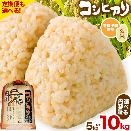 【ふるさと納税】コシヒカリ 米 5kg 10kg 有機肥料 玄米 単発 定期便