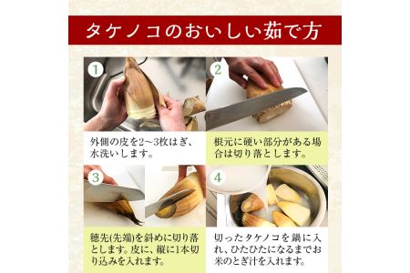 i366 ≪数量限定！先行予約受付中！2026年4月上旬～4月中旬の間に発送予定≫鹿児島県出水市産！タケノコ＜皮付き4kg＞ たけのこ 筍 タケノコ 国産 皮付き 野菜 旬 新鮮 採りたて 煮物 味噌