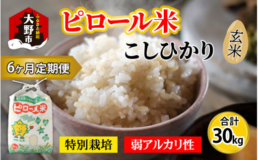 【令和8年産 新米】【6ヶ月定期便】こだわりの米！弱アルカリ性のピロール米 こしひかり 玄米 5kg×6回 計30kg [F-009002]