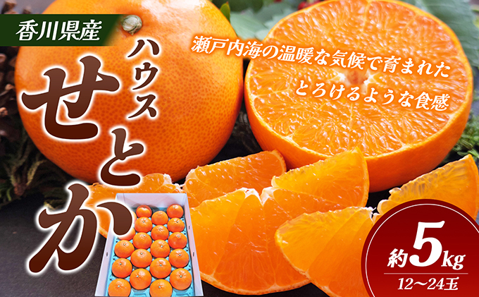 【 小豆島 】ハウスせとか　約５kg