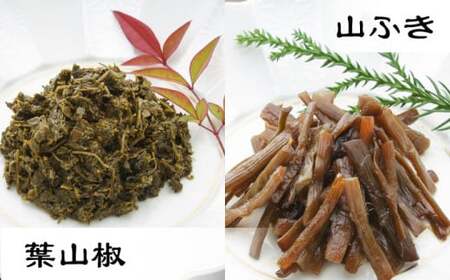 【佃煮の伊吹】 極み佃煮 〜湖北の宝〜　小あゆ木の芽煮90g2点＆amp;山菜の佃煮3点 詰合 滋賀県長浜市/伊吹食品株式会社[AQCA007]