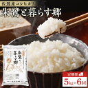 【ふるさと納税】米 定期便 朱鷺と暮らす郷 佐渡産 コシヒカリ ( 5kg × 全6回 ) 【令和6年産】 | お米 こめ 白米 食品 人気 おすすめ 送料無料 お楽しみ