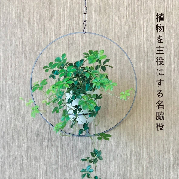 GRAVIRoN Hang Plants シリーズ Round 酸洗鉄（プランツハンガー） 観葉植物 プランター_イメージ2