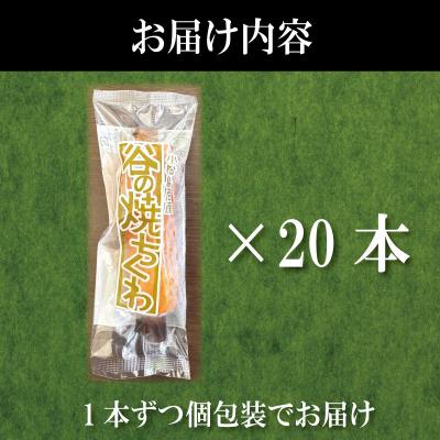 ふるさと納税 小松島市 ちくわ 竹ちくわ 20本 個包装 冷蔵 練り物 おかず グルメ 煮物 料理 おでん |  | 03