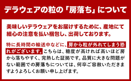 【2025年先行予約】デラウェア ぶどう 約1.2kg フルーツ 果物 羽曳野市産《2025年7月上旬-8月中旬頃出荷》｜ﾃﾞﾗｳｪｱﾃﾞﾗｳｪｱﾃﾞﾗｳｪｱﾃﾞﾗｳｪｱﾃﾞﾗｳｪｱﾃﾞﾗｳｪｱﾃﾞﾗ