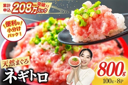 【ふるなび限定】【準備でき次第発送】ネギトロ 8パック (計800g) [マルハニチロオーシャン 静岡県 吉田町 22424644-a] FN-Limited