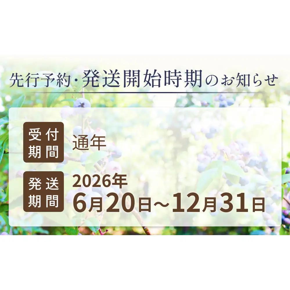 ＜ 先行予約 ＞ ブルーベリーソース 220g 無添加 手作り フルーツソース 果実 さっぱり