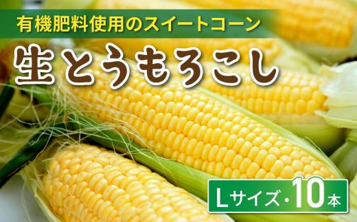 
                  生とうもろこし Lサイズ 10本 有機肥料使用のスイートコーン！ 長野県東御市産 ※7月上旬から順次発送予定※発送日指定不可
                