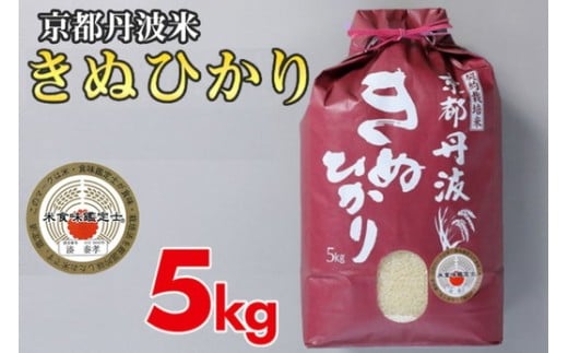 【12月発送】令和7年産 新米 京都丹波米 きぬひかり5kg 白米 米◇◆◇ 食味鑑定士厳選 京都丹波産 ふるさと納税米 きぬひかり精米 丹波米精米 白米精米 令和7年産精米 ふるさと納税米精米 米こめ コメ 産地米 精米お米 精米米 精米こめ 精米コメ きぬひかり きぬひかりこめ きぬひかり米 丹波米 こめ お米※精米したてをお届け※北海道・沖縄・離島への配送不可