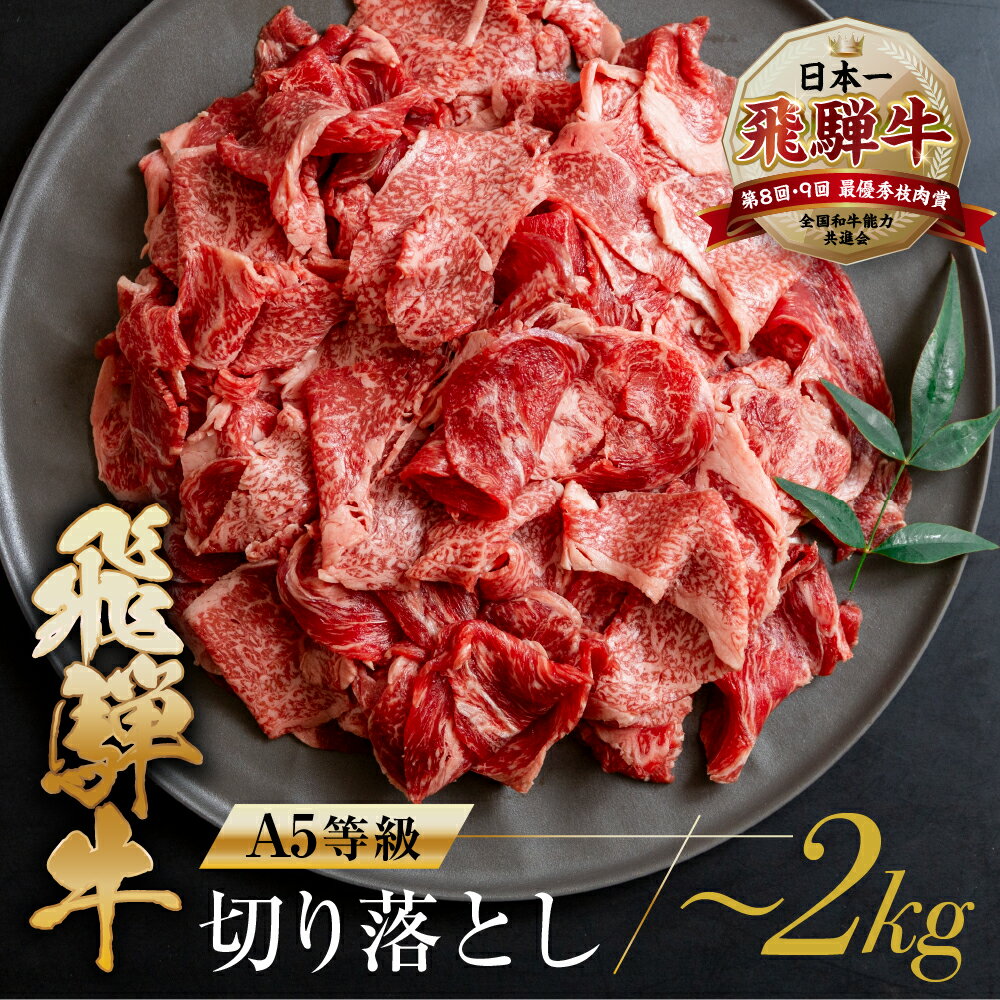 【ふるさと納税】訳あり 飛騨牛 切り落とし 【250g 400g 500g 1kg 1.5kg 2kg 】 | 牛肉 肉 和牛 国産牛 肉 焼肉 すき焼き a5 不揃い 小分け 冷凍 日付指定 トキノ屋食品 本巣市 わけあり ワケアリ [mt368] 7000円 10000円 一万円 5000円 五千