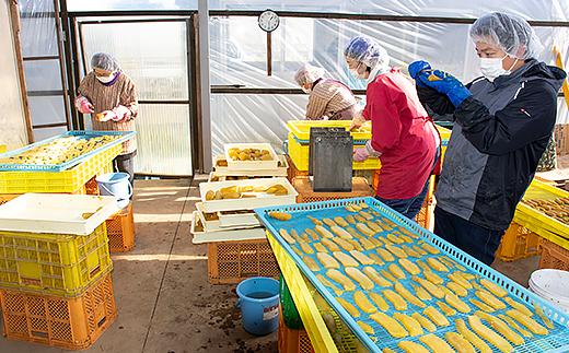 648 平干し6袋 干し芋 1.8kg 熟成 クール 冷蔵 無添加 無着色 300g 小分け 茨城県産 紅はるか 令和7年産 2025年12月～2026年4月ごろ順次発送予定