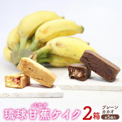 【ふるさと納税】琉球甘蕉ケイク2箱（プレーン・カカオ）各5個入 沖縄 おきなわ おかし お菓子 バナナ アップルバナナ ばなな 伝統 特産品 ふるさと納税 送料無料 名護市 なご スイーツ お土産 お取り寄せ 人気 カカオ かかお