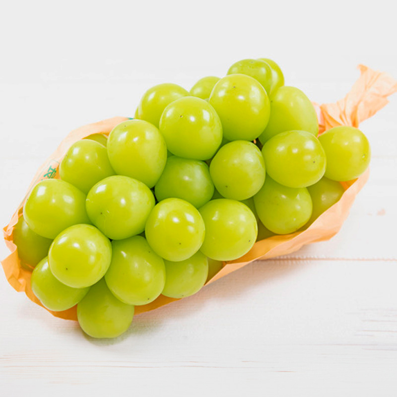 山形の大房シャインマスカット 700g以上 1房 【令和8年産先行予約】 FS24-009