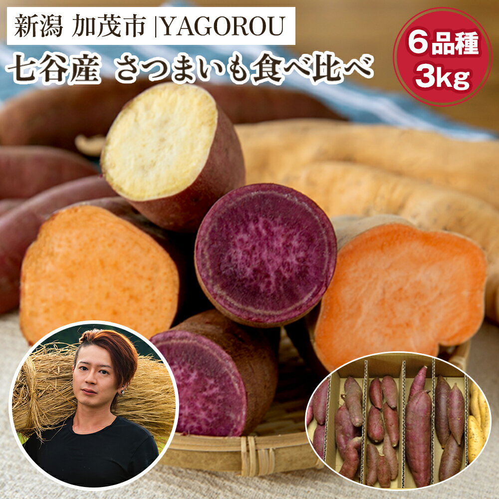 【ふるさと納税】【2025年】【家庭用】さつまいも6種食べ比べ 3kg（A品・B品混在） 新潟県加茂市七谷産 さつまいも《順次発送》 サツマイモ お芋 焼き芋 スイートポテト 野菜 根菜 低温熟成