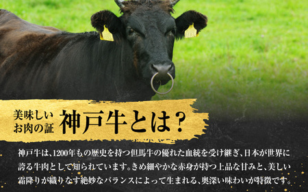 神戸牛 ブリスケ（肩ロース）1kg