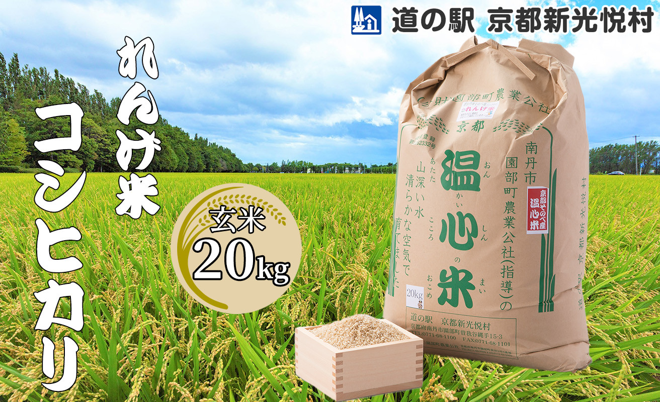 
【新米】【道の駅 京都新光悦村】れんげ米コシヒカリ「玄米」20kg[髙島屋選定品］039N537 【令和６年産新米予約】
