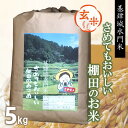 【ふるさと納税】【新米】令和6年産【基肄城水門米】さめてもおいしい棚田のお米 5kg【ひのひかり 米 玄米 お米 やまつき米 モチモチ 基山町産 棚田米 5kg】A1-R072004