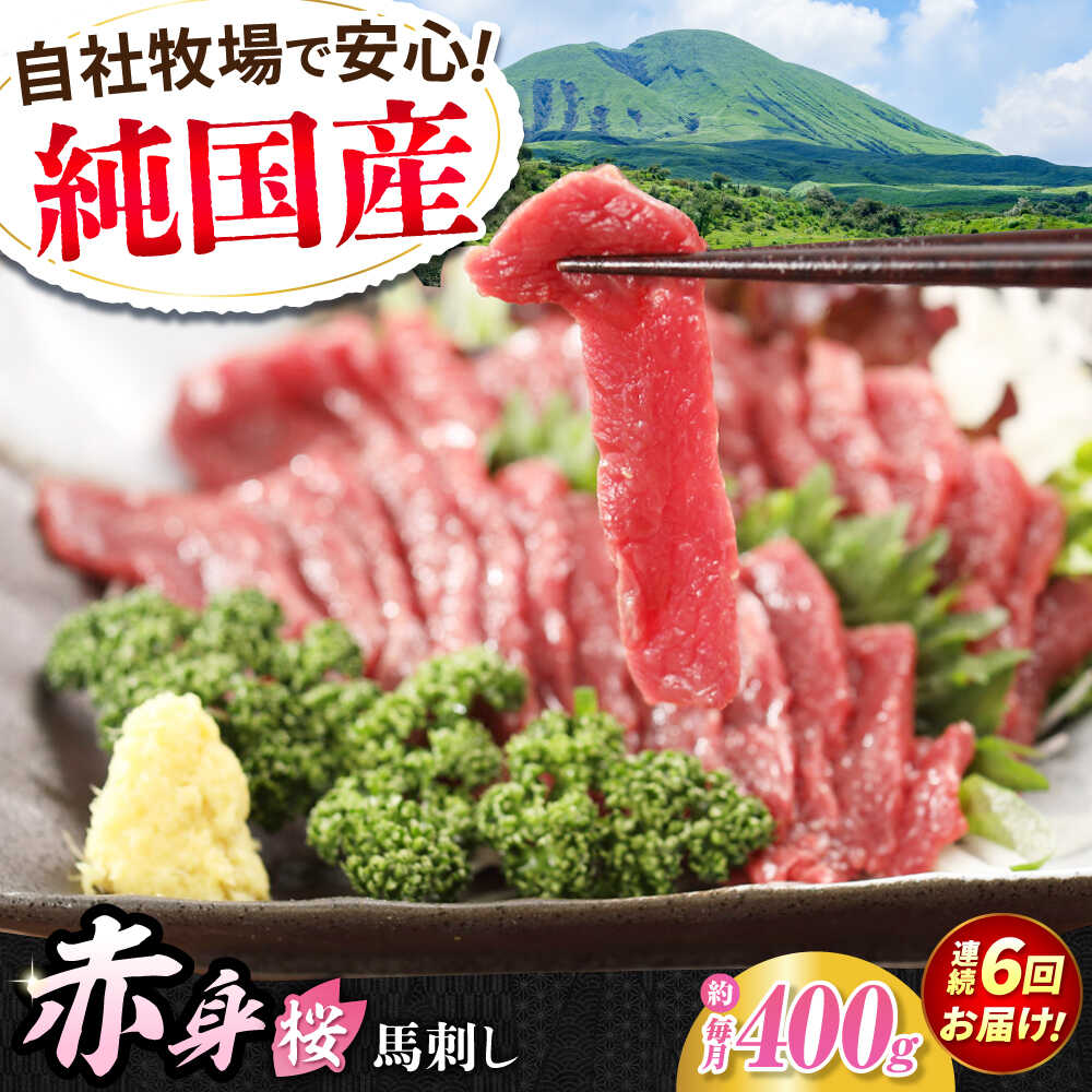【ふるさと納税】【全6回定期便】『純国産』熊本の味「桜」赤身 馬刺し スライス 約400g 【有限会社 九州食肉産業】[AYCN081] 馬刺 馬肉 桜肉 馬 うま ウマ ヘルシー 国産 新鮮 上質 低カロリー 高タンパク 冷凍 食品 熊本県 合志 合志市