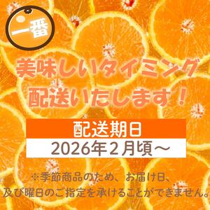 訳あり 寿太郎 みかん 約 8kg 産地直送 柑橘 訳アリ フルーツ 果物 蜜柑 オレンジ ご家庭用 沼津 静岡