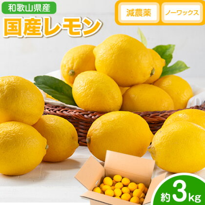 【2027年発送先行予約】レモン 国産 レモン 3kg(L～4Lサイズ) ノーワックス 減農薬 どの坂果樹園《2027年2月上旬-5月末頃より出荷》 和歌山県 日高川町 レモン れもん 檸檬 旬 果物 フルーツ 柑橘 産地直送 送料無料