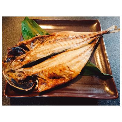 ふるさと納税 松浦市 【発送月固定定期便】大きな真あじ干物 6枚(約1200g) 全4回 |  | 01