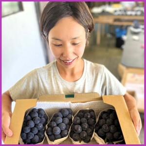 早期受付 ぶどう ニューピオーネ 3～4房 約2kg 岡山県高梁市産 うめづぶどう園 化粧箱入り 葡萄 ブドウ 大粒 贈答用