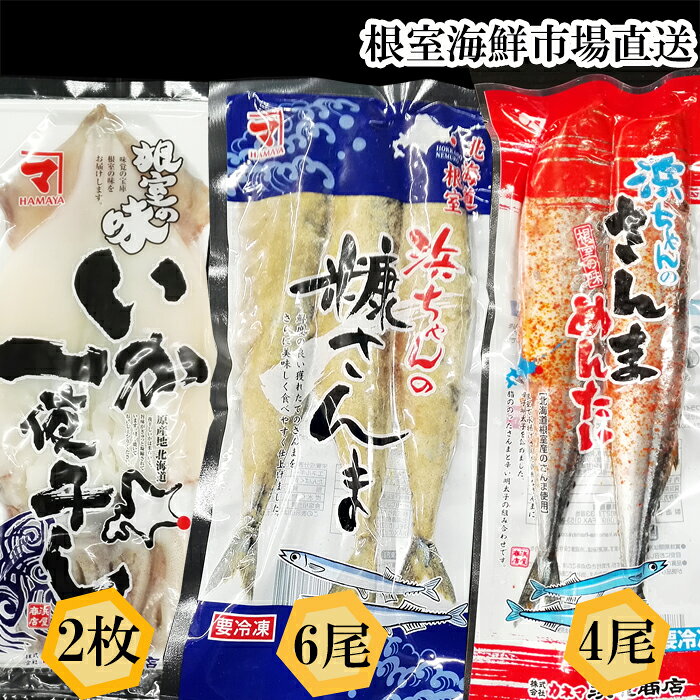 【ふるさと納税】[北海道根室産]いか一夜干し2枚・さんま明太4尾・糠さんま6尾 A-11257