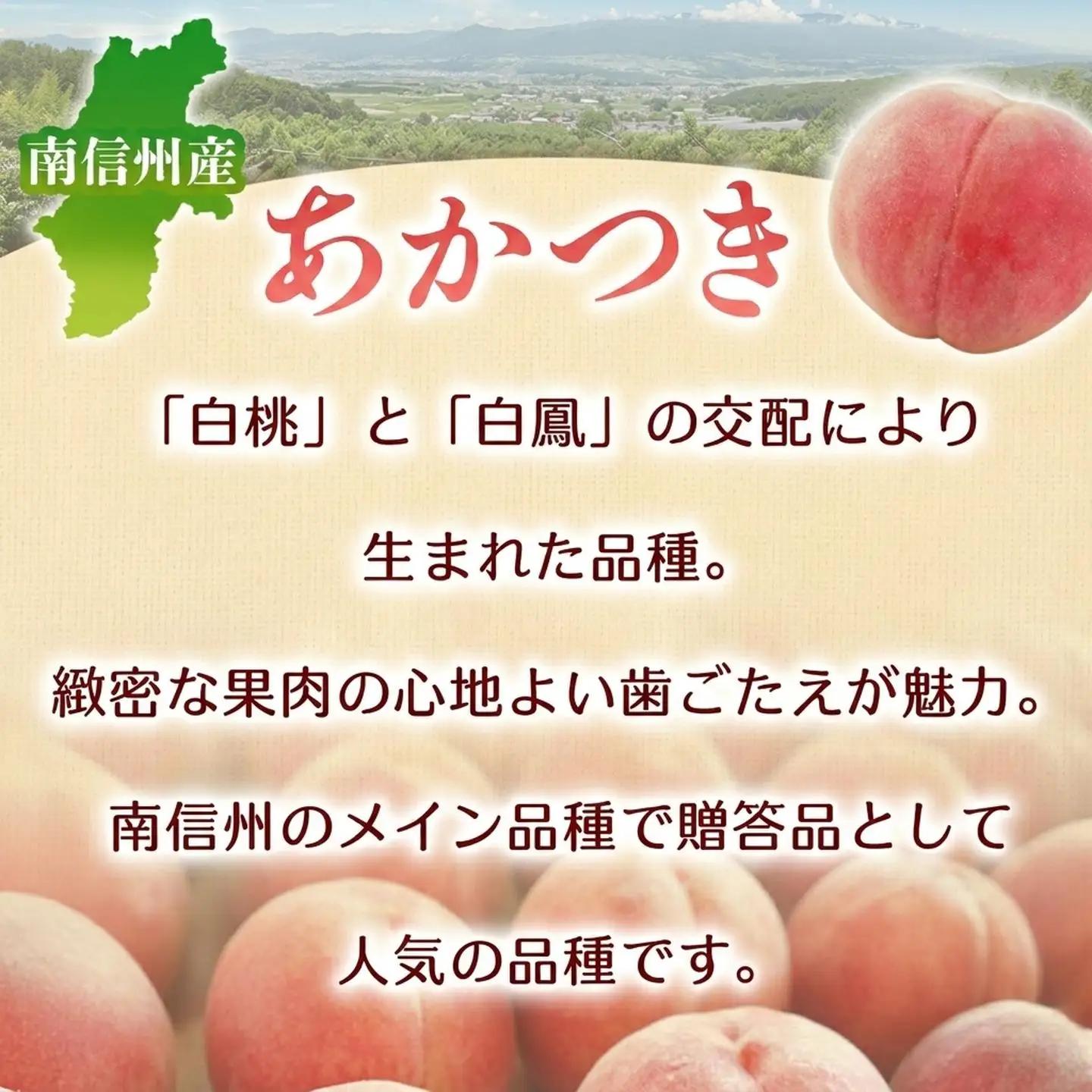 もも あかつき 秀品 約5㎏ 桃