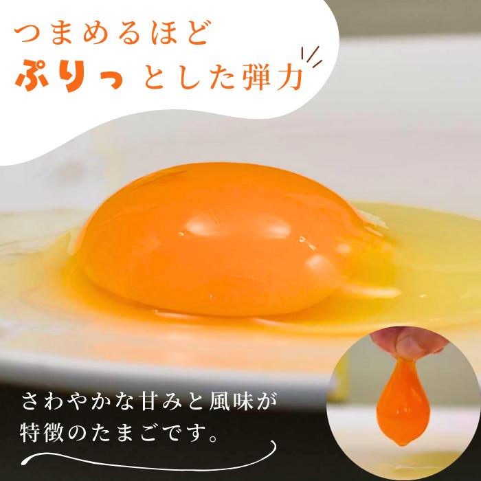 九十九里ファームこだわりたまご９０個〜あおい海・みどりの里〜《白玉》 ／ たまご 卵 玉子 タマゴ 生卵 鶏卵 90個