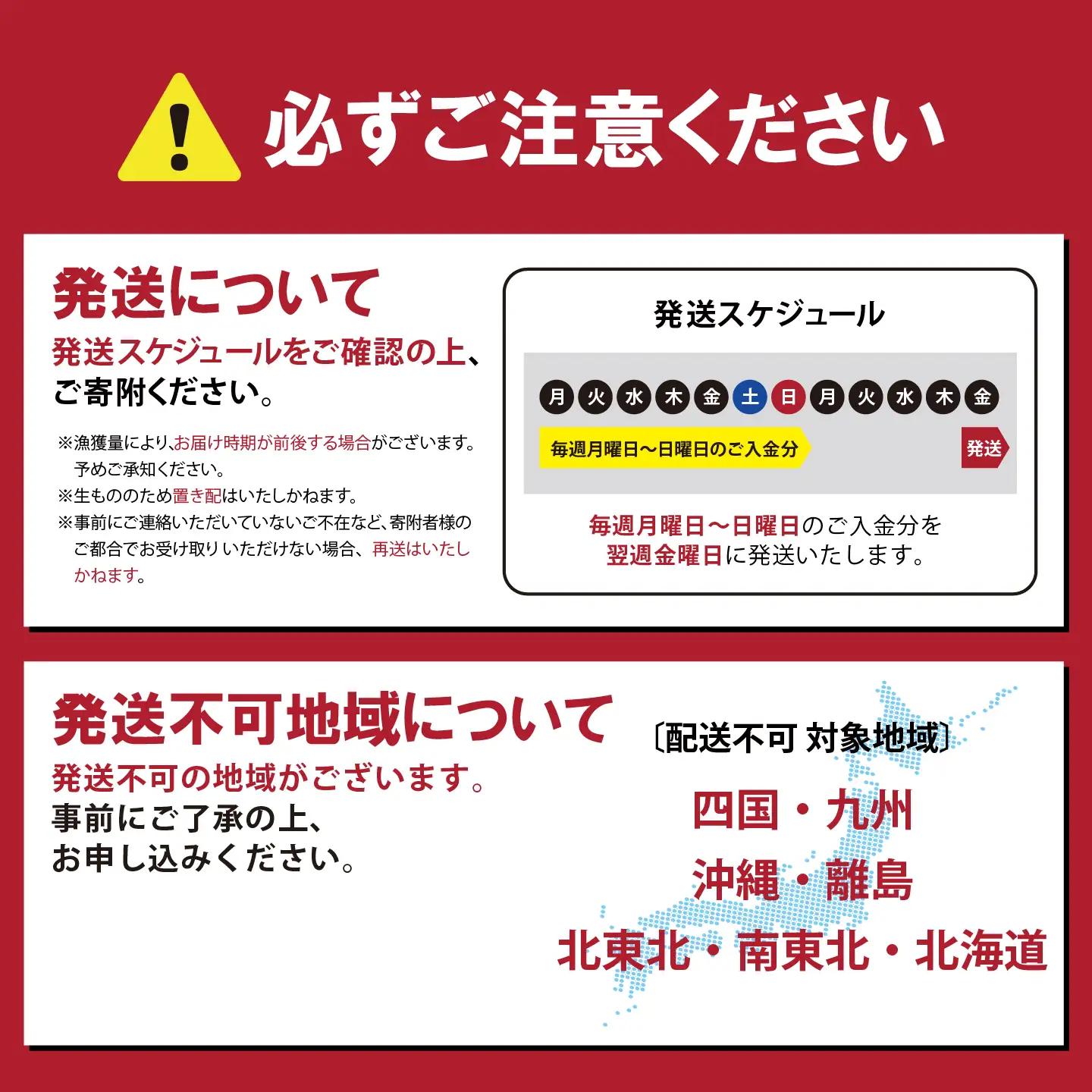 サーモン 約750g 小分け 3～4P 国産サーモン