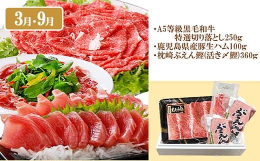 定期便(6回)A5等級黒毛和牛・黒豚・かつお・まぐろ FF-0058【1166770】 _ 定期便 牛肉 肉 お肉 サーロイン ステーキ  焼肉  ハンバーグ 切り落とし 豚肉 しゃぶしゃぶ ロース 