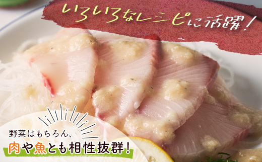 青パパイアドレッシング（200ml×4本）国産 万能 調味料【A249】