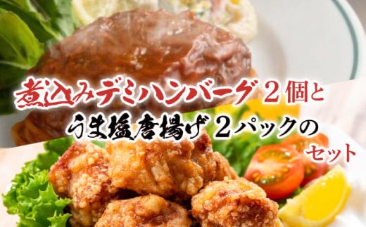 
            煮込み デミグラス ハンバーグ と うま塩 から揚げ セット 各250g×2パック　計4パック
          
